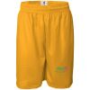 Men's Pro Mesh 9" Shorts Thumbnail